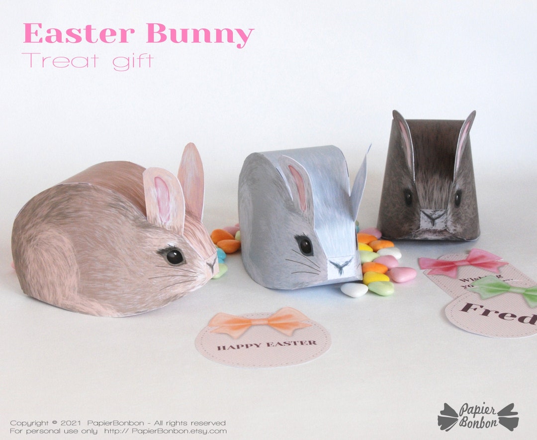 Easter Bunny Box – Paper DIY - 3 Fluffy Bunnies With Editable Tags ...