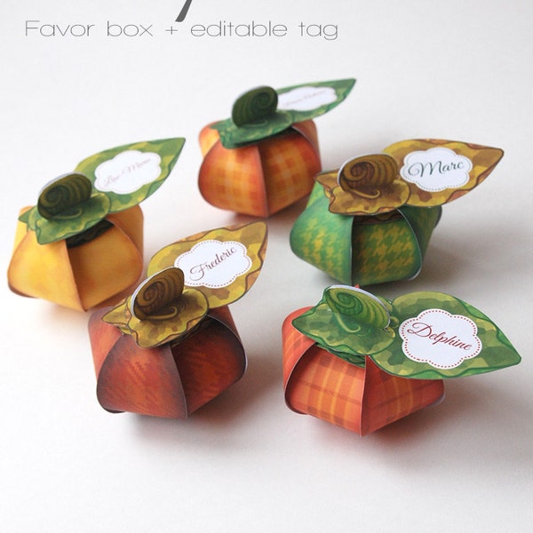 Thanksgiving pumpkin favor box - 5 gift box