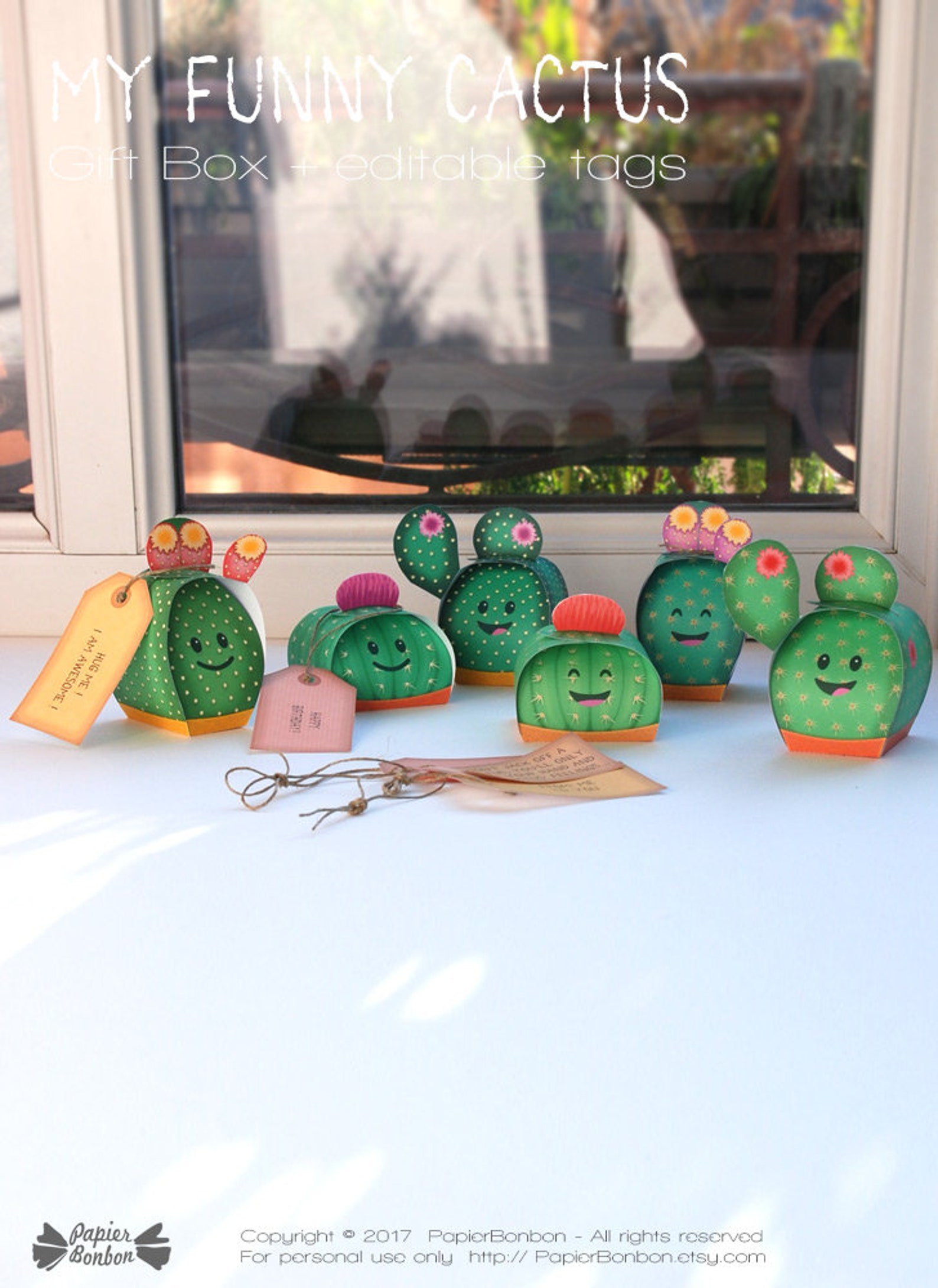 Cactus gift boxes Printable 6 funny cactus party Etsy