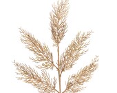 Il_170x135