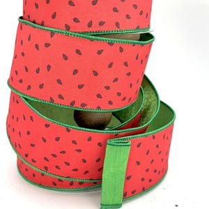 Cinta de alambre con semillas de sandía: cinta para manualidades de verano, 6,35 cm de ancho