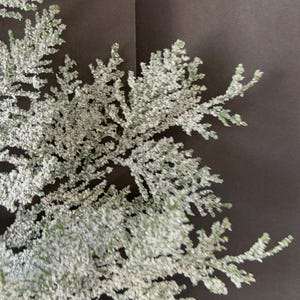 May include: A decorative artificial evergreen branch featuring dense, needle-like foliage coated in a thick layer of white, glittery frost. The branch displays a complex, branching structure with fine, textured tips that create a snowy appearance.