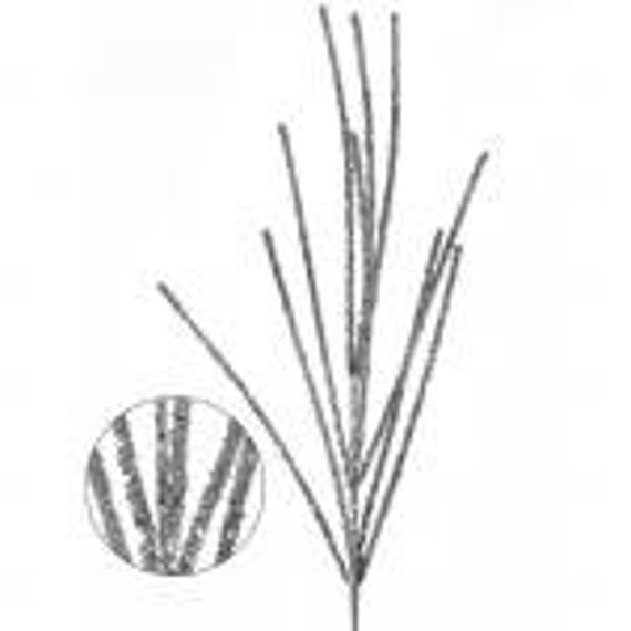 Il_570xn