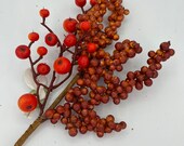 Il_170x135