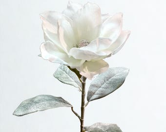 May include: A single white magnolia flower with delicate petals and a light pink hue at the edges. The flower sits atop a slender, brown stem with silvery-green leaves. The background is a clean, white backdrop.