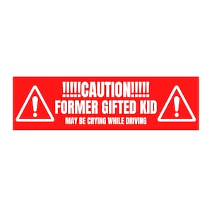 Former Gifted Kid May Be Crying While Driving Bumper Sticker | Vinyl Decal | Window | Car | Funny Bumper Sticker