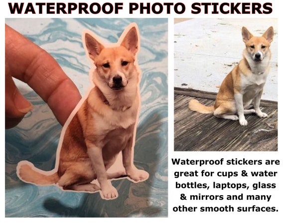Waterproof Photo Sticker, Die-Cut (Kiss Cut) Pet Sticker, Portrait, Kids, stickers, logo | Assorted sizes available