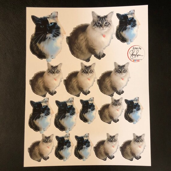 PHOTO STICKERS- Die-Cut or shaped photo stickers of your child, pet, logo etc