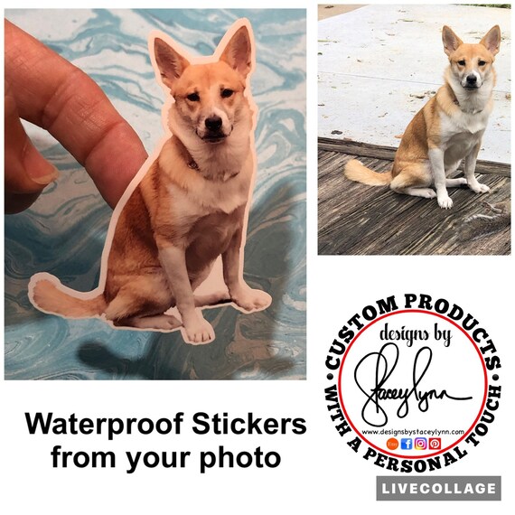 Waterproof Photo Sticker, Die-Cut (Kiss Cut) Pet Sticker, Portrait, Kids, stickers, logo | Assorted sizes available