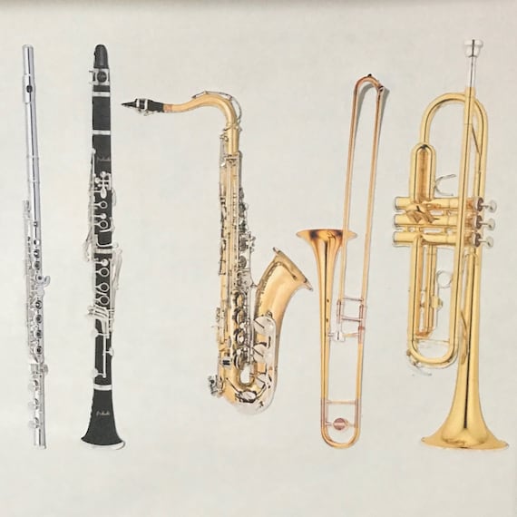MUSICAL INSTRUMENT STICKERS | Set of 10 | alto/ bari saxophone, clarinet, flute, trombone, trumpet, violin, viola, cello, bass & more