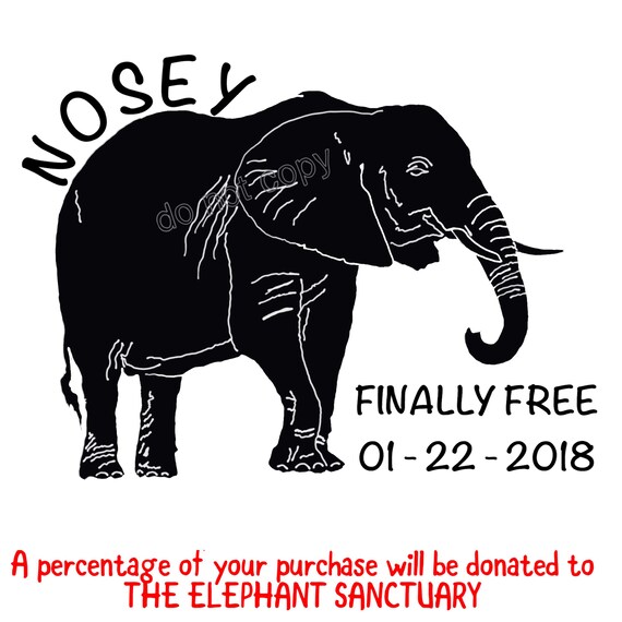 NOSEY the ELEPHANT decal, support The Elephant Sanctuary, assorted sizes available