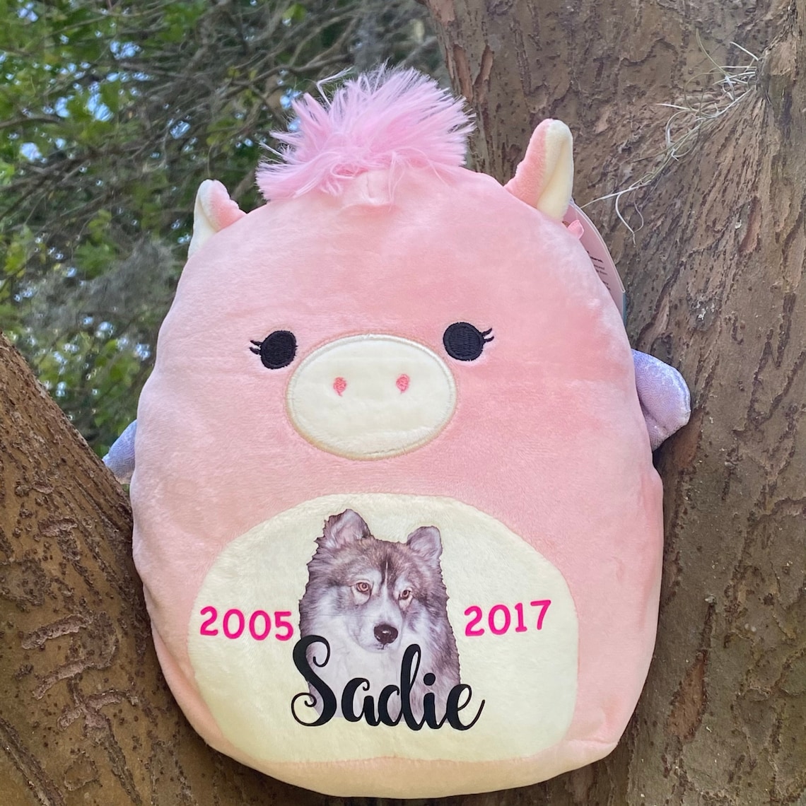 CUSTOM SQUISHMALLOW 16 inch Shany the Cat with reversible | Etsy