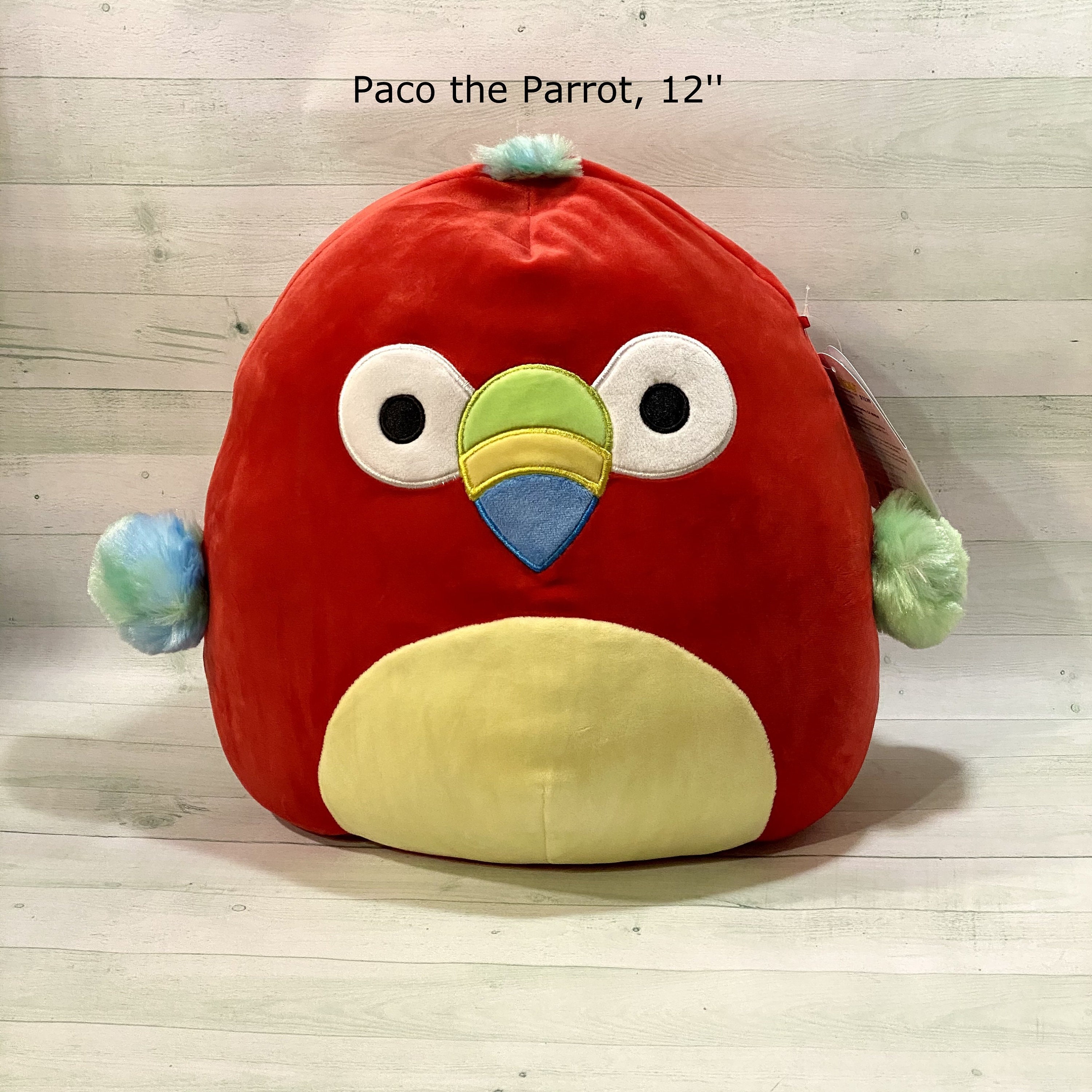 CUSTOM SQUISHMALLOW, 12 Inch Paco the Parrot Add Name, Text, Photos and  Awareness Ribbons ships From Florida - Etsy UK
