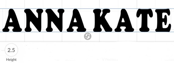 Baton Bag Name decal | 2.5" tall, varied length