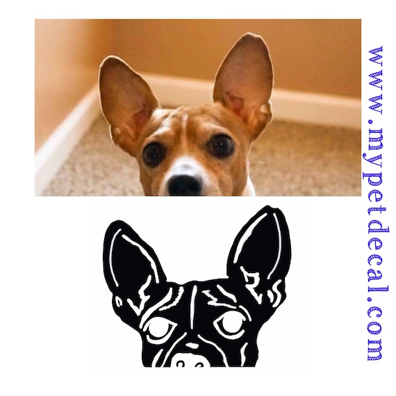CUSTOM PEEKING Decal | Decal of your pet | Use for Yeti , laptop, macbook etc | (Artist Exclusive!)