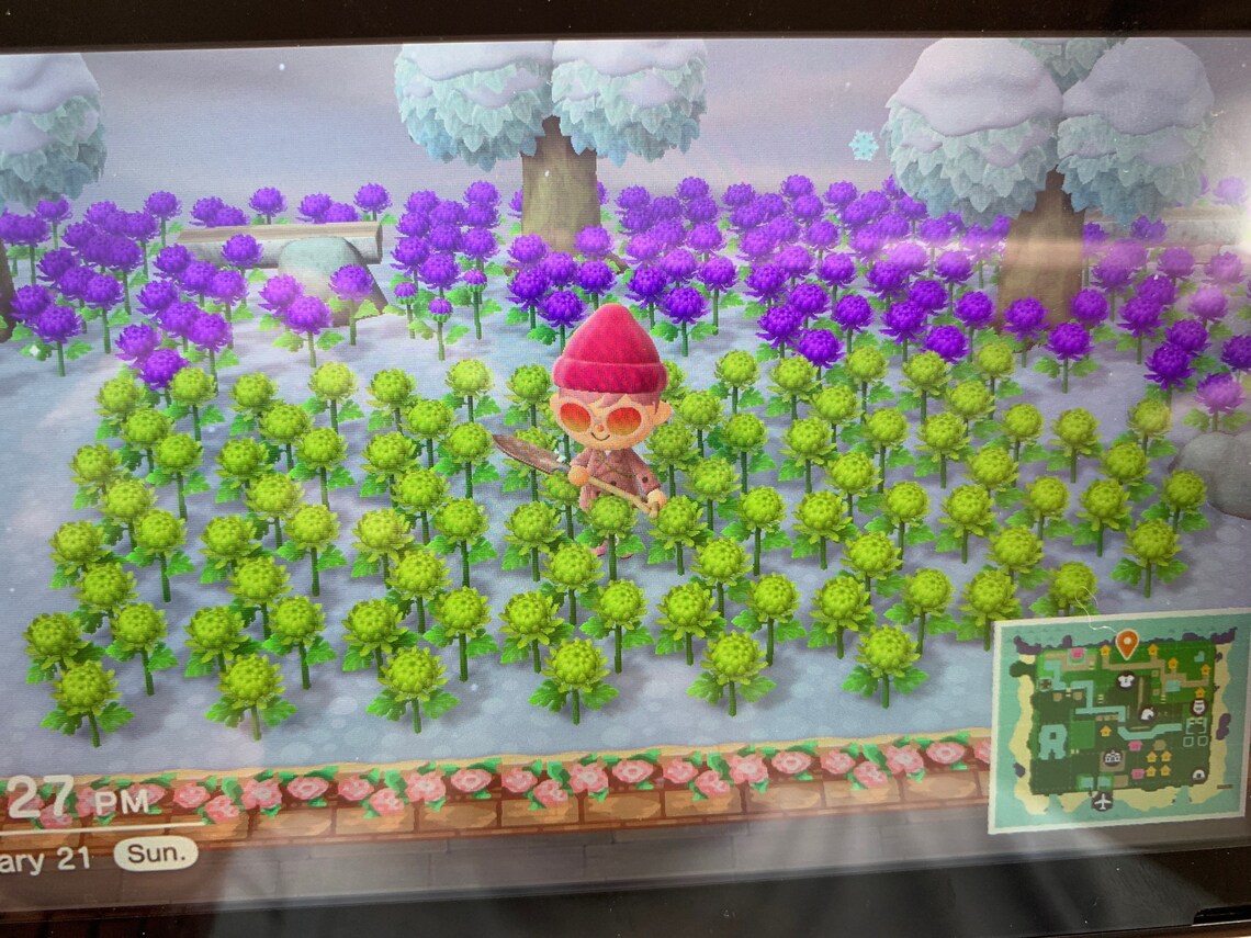 Animal Crossing: New Horizons Green Mums | Etsy