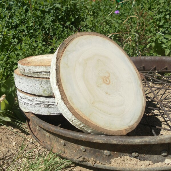 Large Aspen Tree Slice - 7 inch - 1.25 inch thick - Rustic Wedding Decor, Cake Stand, Charger, Wedding Centerpiece, Wood Slab