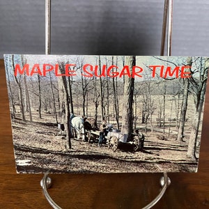 1940er bis 60er Jahre Somerset Co. Pa Maple Sugar Water Gathering Postkarten (15) einzeln erhältlich, "Ahorn Zuckerzeit", Klasse 2, kleinere Hundeohren