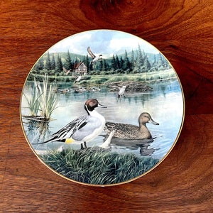 May include: A decorative ceramic plate featuring a detailed painting of a pair of pintail ducks in a woodland setting. The plate has a gold rim and a green and brown background.