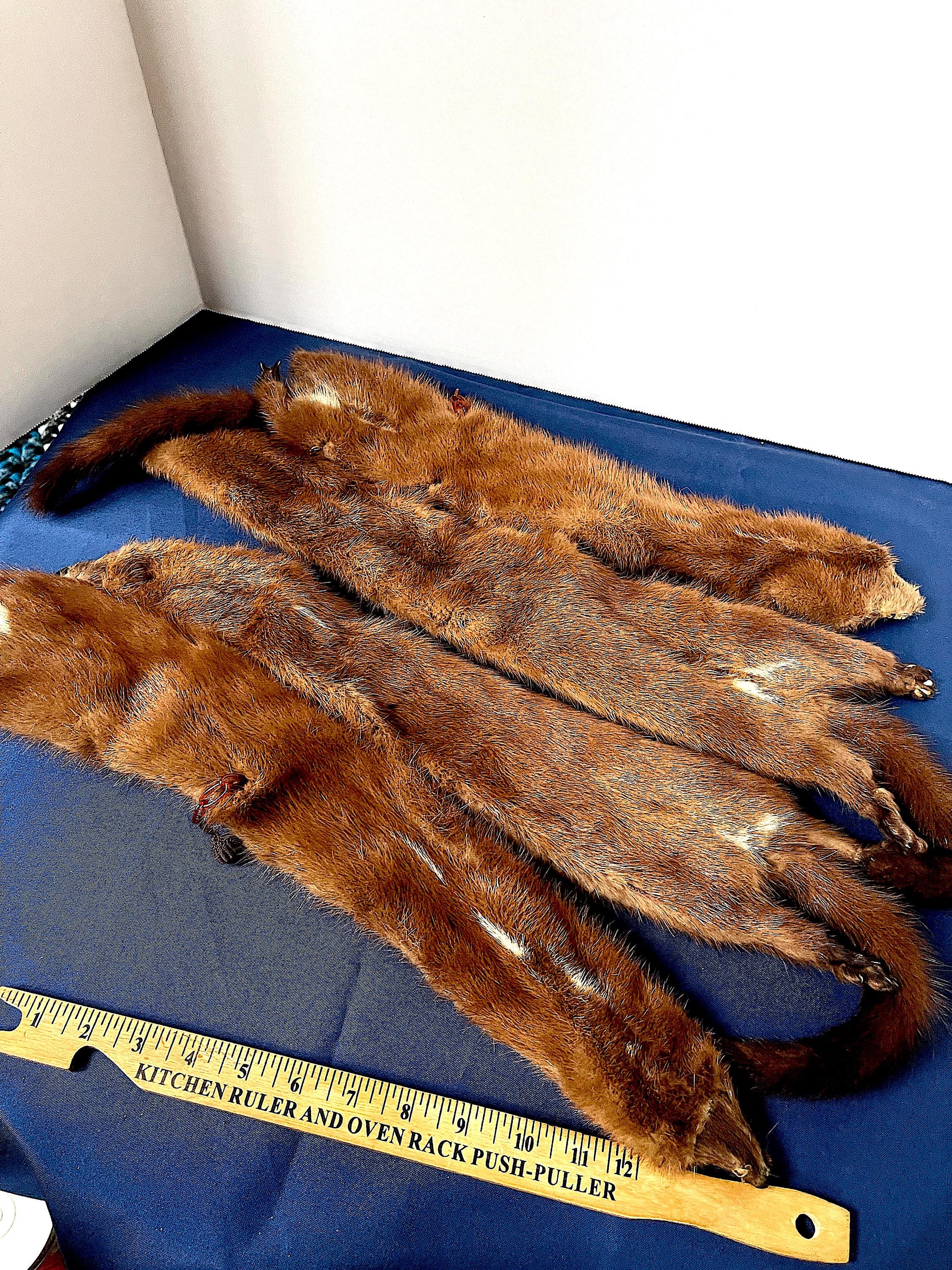 Mink Tortoise Shell 1930s-50s Mink Stole, 4 Quality Full Body Mink Furs, Crochet Ball ...