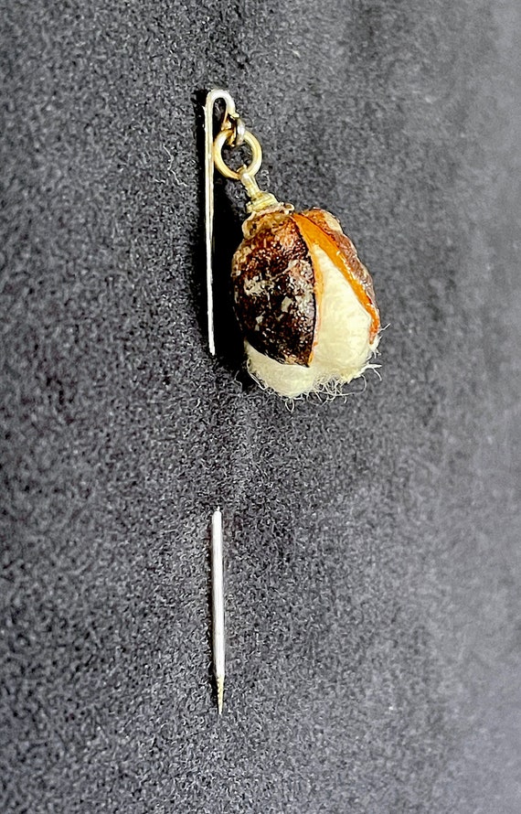 1950's-60's Cotton Seed Stick Pin, Novelty Natura… - image 1
