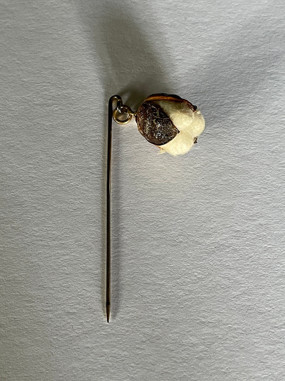 1950's-60's Cotton Seed Stick Pin, Novelty Natura… - image 3