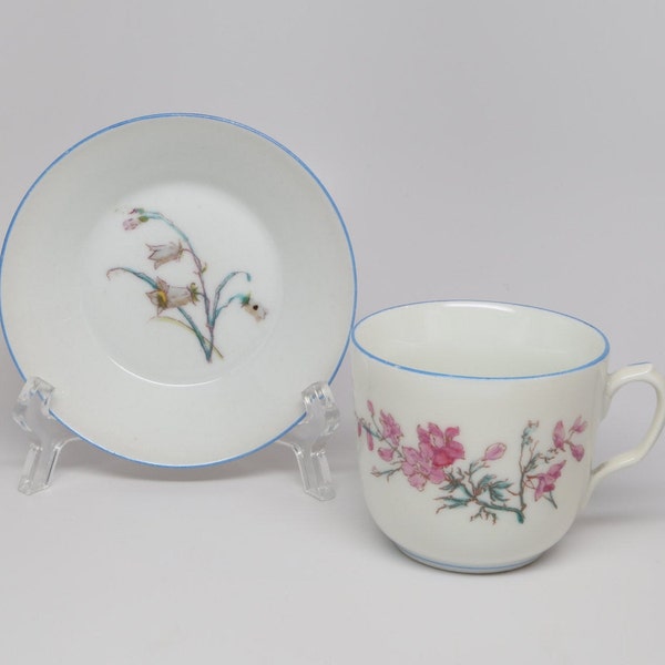 1800's Antique China Haviland & Co Limoges Porcelain Cup, Bowl, 2 pc., Pink larkspur, Purple Violet on Cup, Blue Bellflower, Bowl, Blue