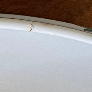 May include: Close-up of a white ceramic plate with a slight crack on the edge. The plate has a subtle green and blue design around the rim.
