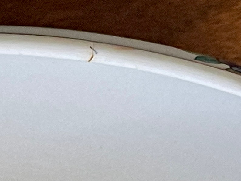 May include: Close-up of a white ceramic plate with a slight crack on the edge. The plate has a subtle green and blue design around the rim.