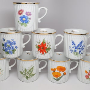 1970&#39;s Monthly Flower Mug Bohemia Czech Porcelain &quot;Flower of the Month&quot; 8 Oz. Mugs, Heavy with Ribbing and Oval Flat with Floral Motif