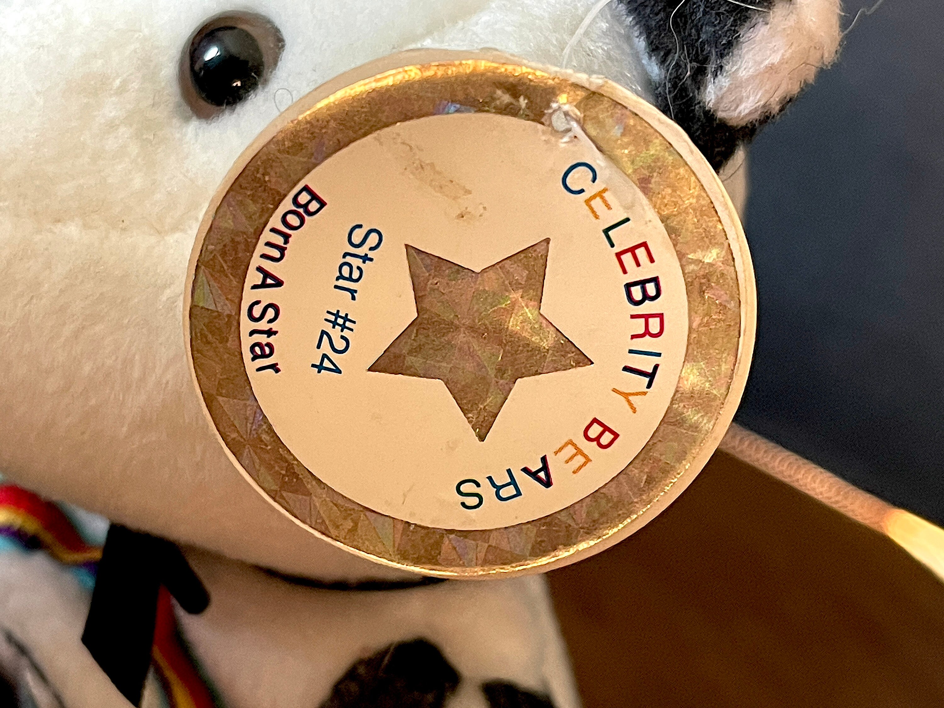 1998 Celebrity Bears, A Star is Born, NASCAR Rainbow