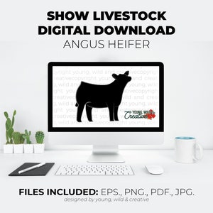 Angus Show Heifer Digital Download | Show Heifer Embroidery Design | Livestock Show Angus File | Embroidery Pattern for Show Cattle