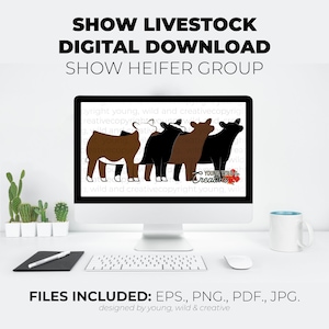 Show Heifer Digital Download | Show Heifer Embroidery Design | Livestock Show Angus, Hereford File | Embroidery Pattern for Show Cattle