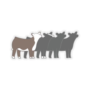 Gestanste stickers vaars voor meerdere rassen | Hereford, Angus, Simmental, Black Angus Showvaarzen | Sticker vee | Sticker vaars weergeven