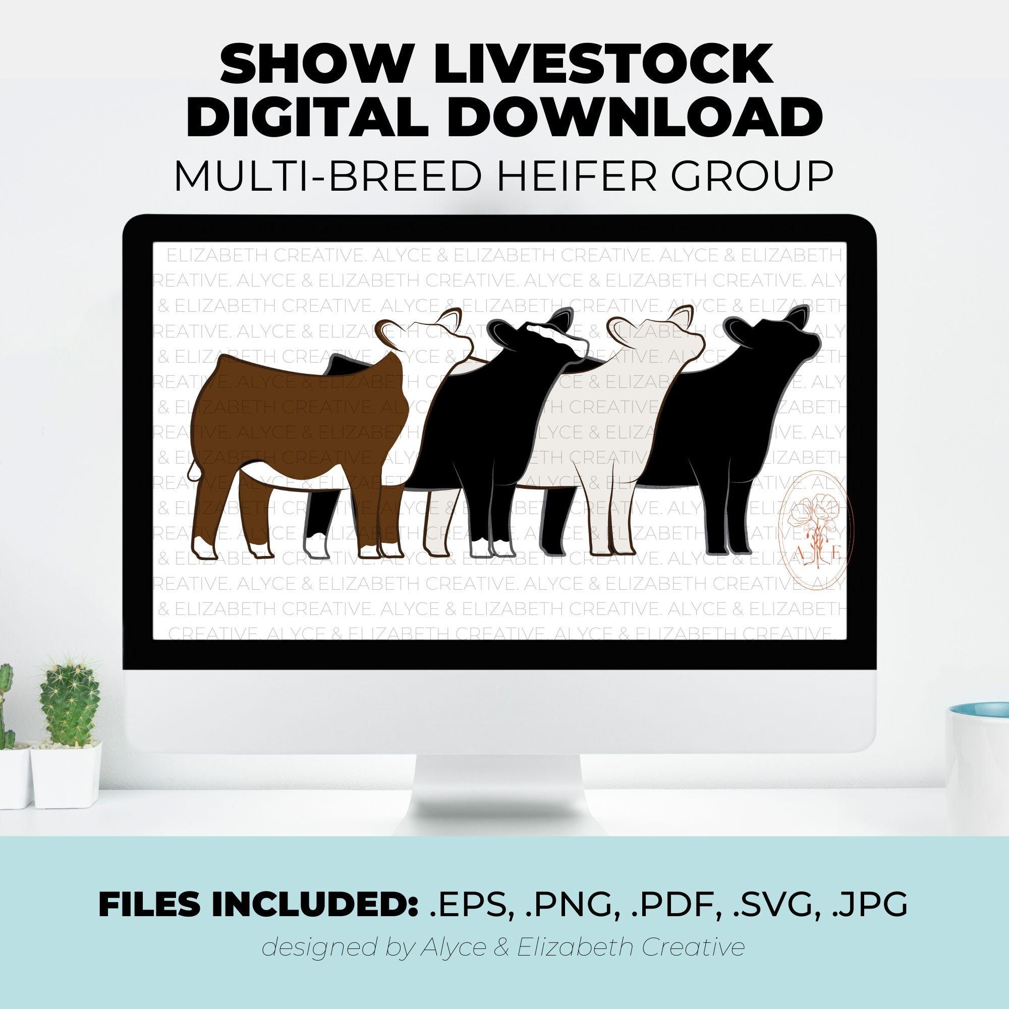 Interfaccia di Elabet Casino e Scommesse