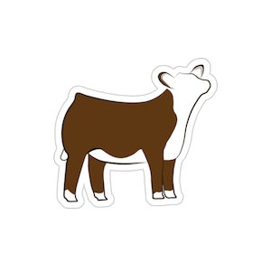 Hereford Show Färse Die-Cut Sticker | Vieh Aufkleber | Tieraufkleber | Kuh Die Cut Sticker | Hereford Rinder Sticker