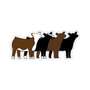 Toon vaarsgroep gestanste stickers | Hereford, Angus, Simmental, Red Angus Showvaars | Vee Sticker