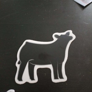 Angus Show Vaars gestanst sticker | Veesticker voor showvee-exposanten | Boerderij dieren sticker voor veeliefhebbers