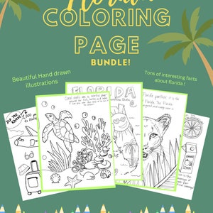 All About Florida Coloring Book