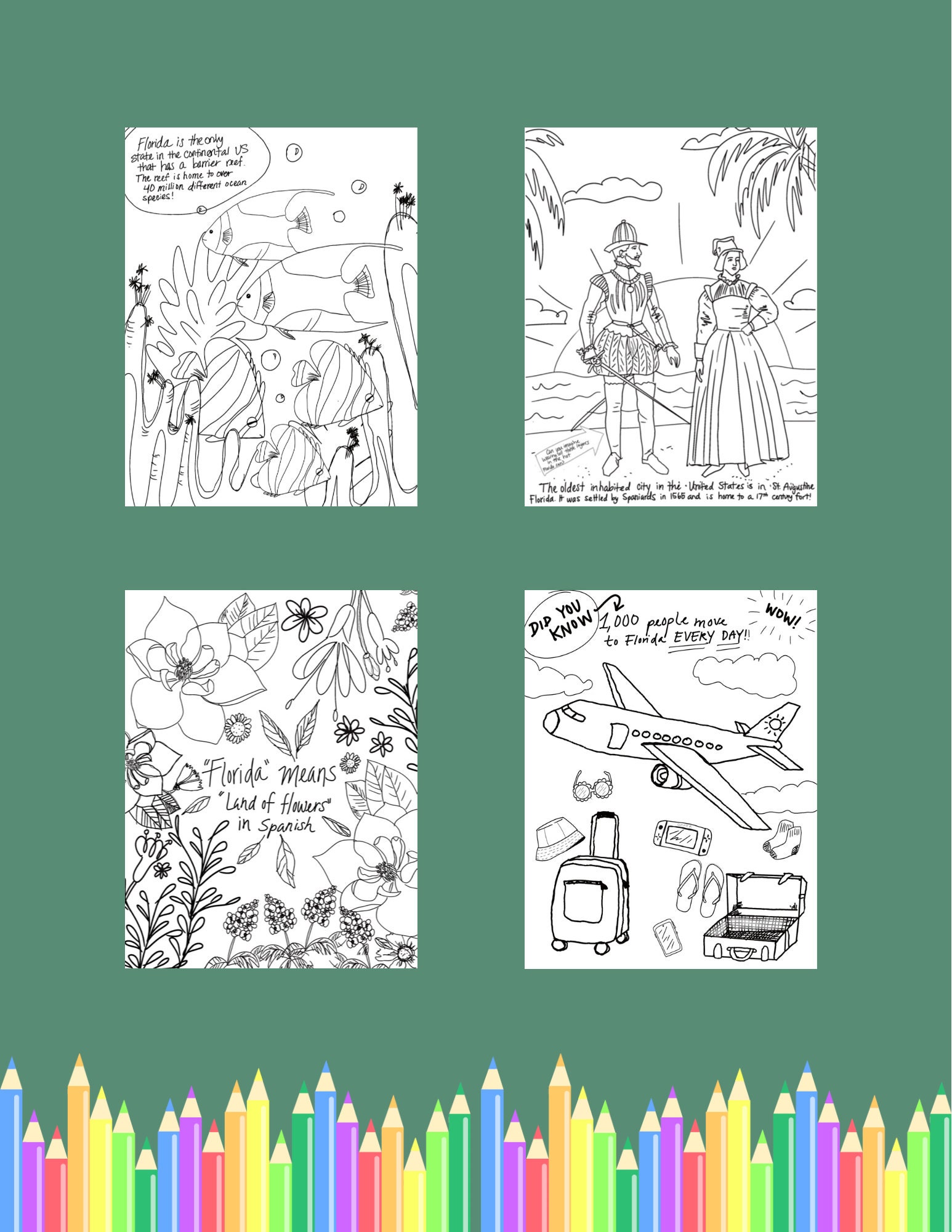 All About Florida Coloring Book - Etsy