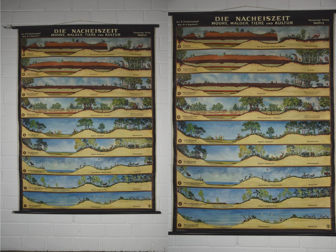 Original Vintage School Pull Down Chart Map / Motif Post-ice Age ...