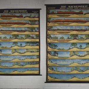 Puede incluir: Dos carteles educativos antiguos titulados "DIE NACHEISZEIT" (La Edad de Hielo) con ilustraciones de paisajes, árboles y animales. Los carteles están montados sobre barras negras y colgados de una pared de ladrillos blancos. El texto está en alemán.