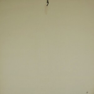Original Vintage School Pull Down Chart Map / Motif Rye | Jung Koch ...