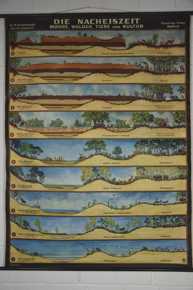 Original Vintage School Pull Down Chart Map / Motif Post-ice Age ...