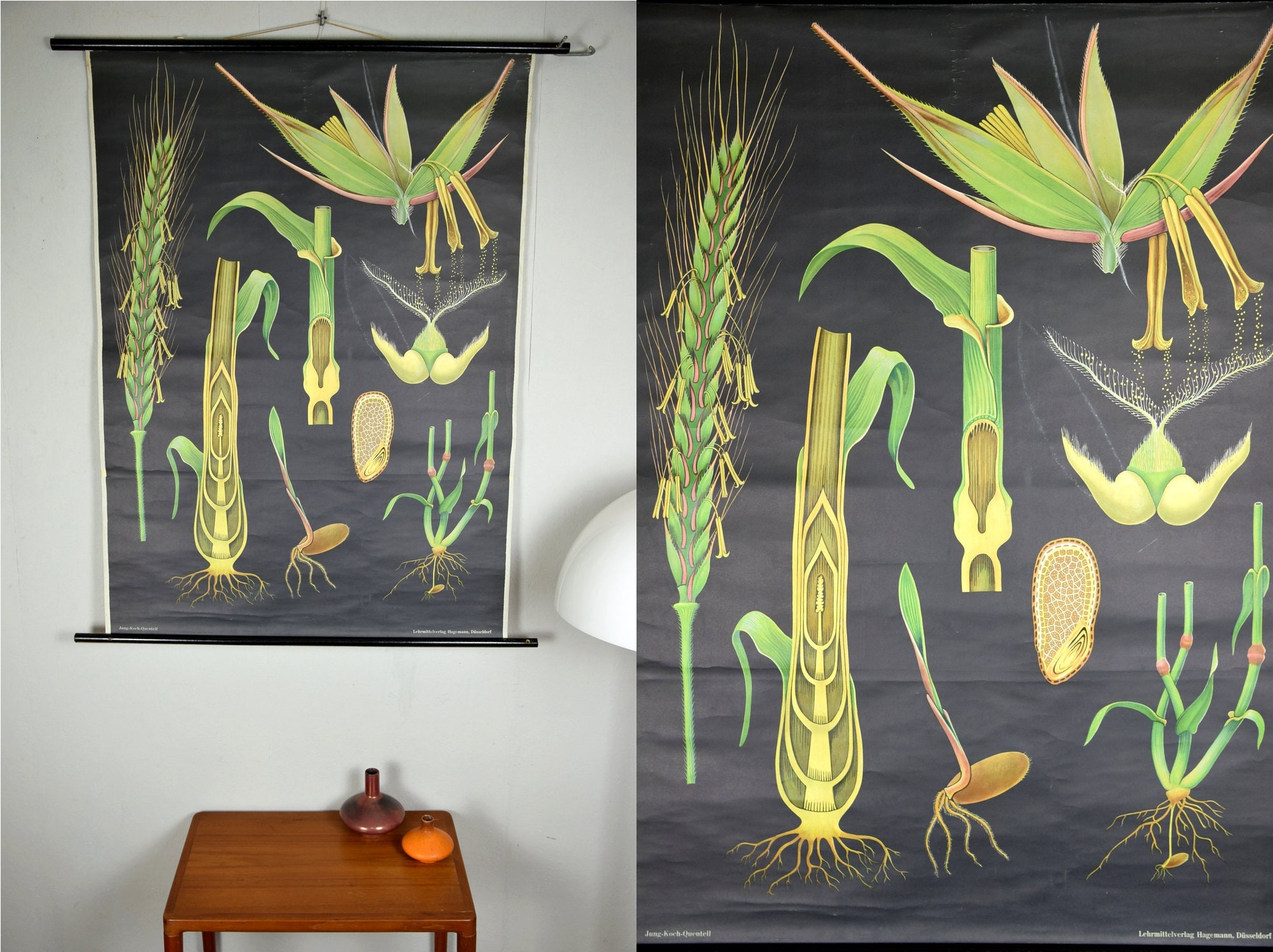 Tableau Mural Vintage JKQ Jung Koch Quentell - Moustique - 83x108 Cm - 1964