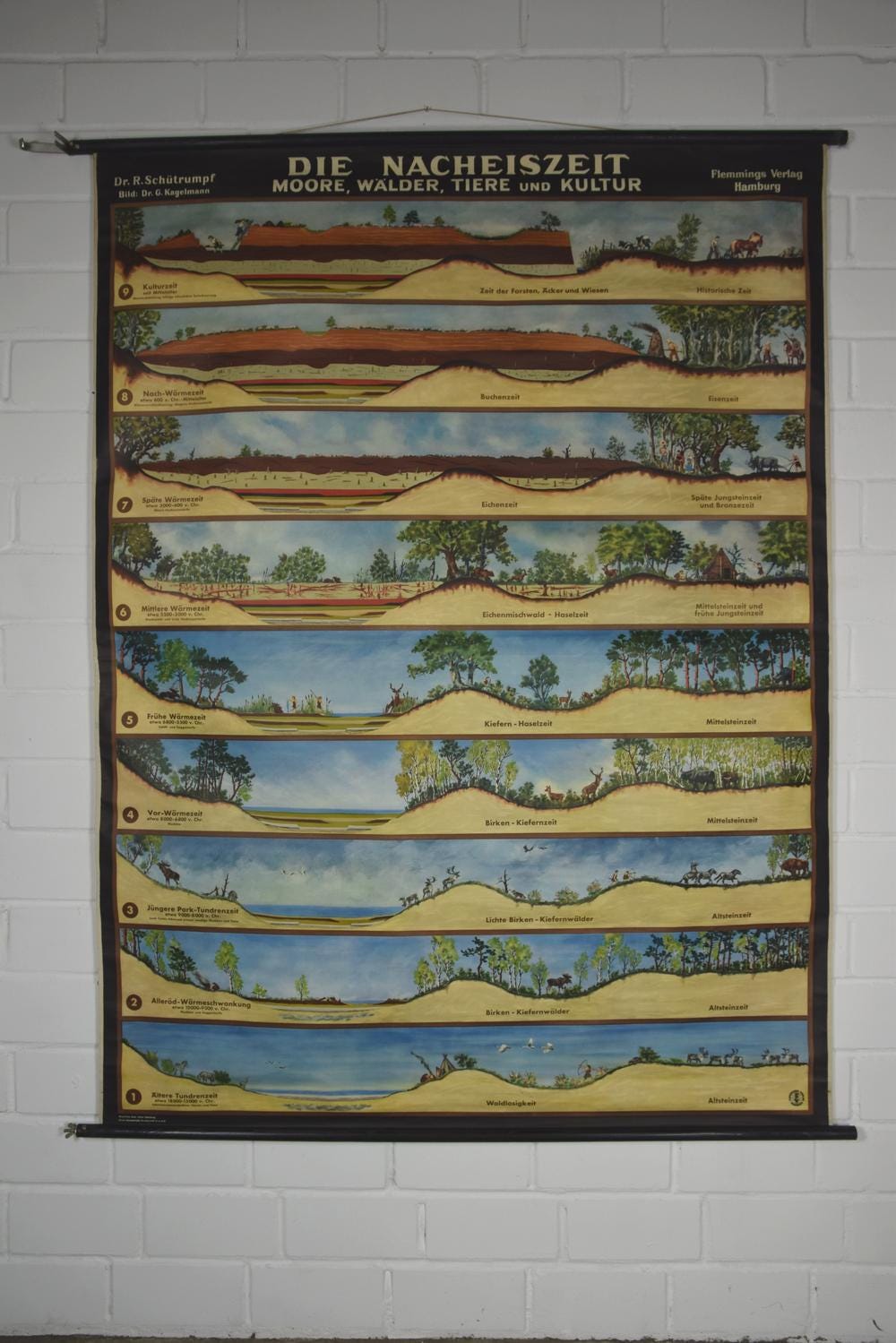 Original Vintage School Pull Down Chart Map / Motif Post-ice Age ...