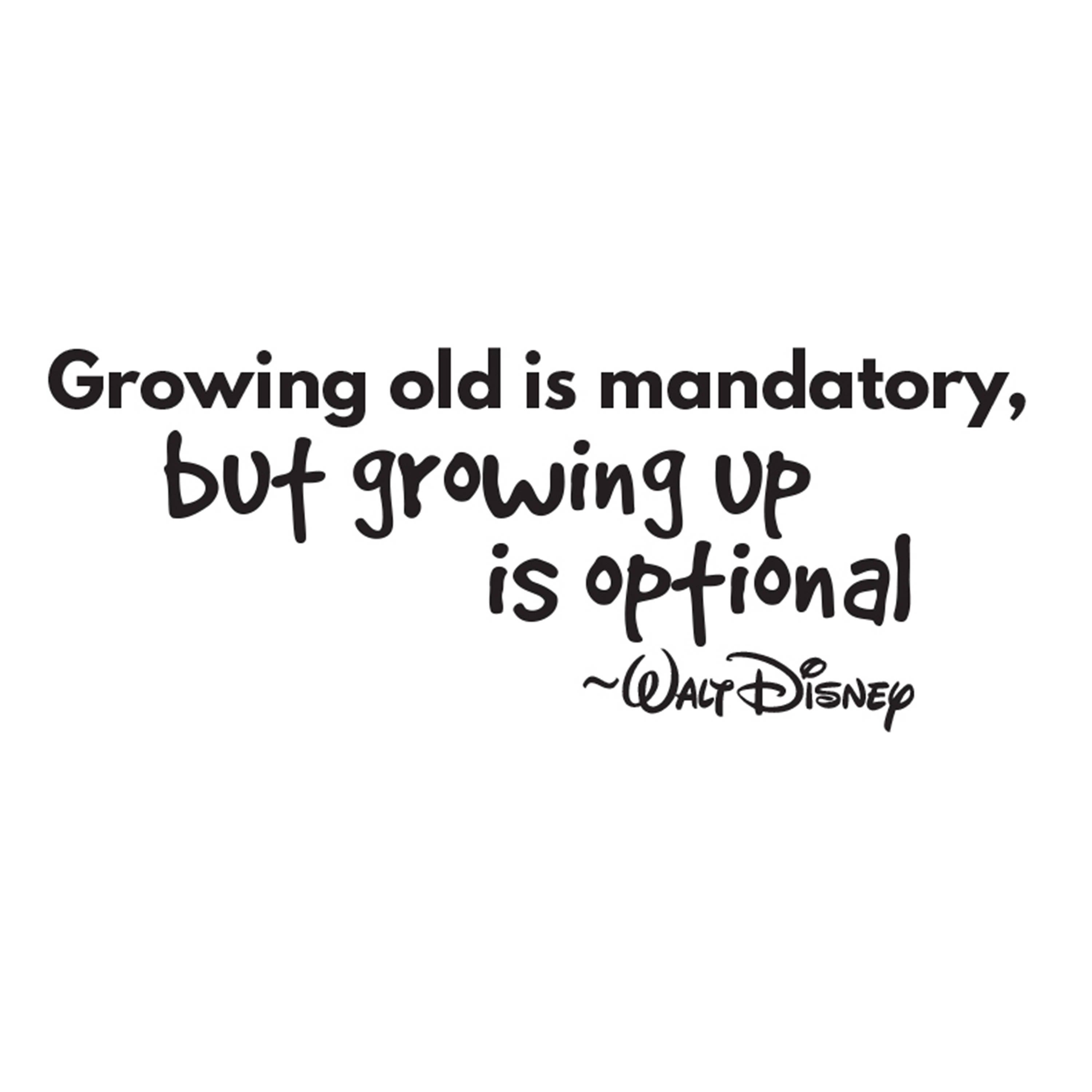 Disney Wall Decal Disney Wall Sticker Kids Wall Decal Etsy