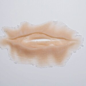 May include: A close-up of a light brown, flesh-colored, silicone scar makeup effect. The scar is shaped like a long, thin, oval with a jagged edge.