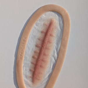 May include: A flesh-toned prosthetic wound with a central, stitched laceration. The wound is oval-shaped, with a light pink border and a textured, white interior. The text "KENSAI FX" is printed on the side.
