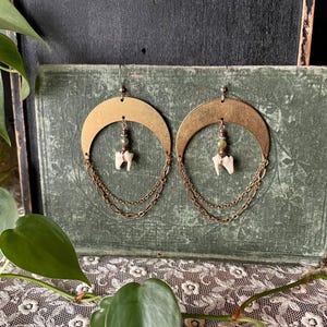 Raccoon teeth earrings